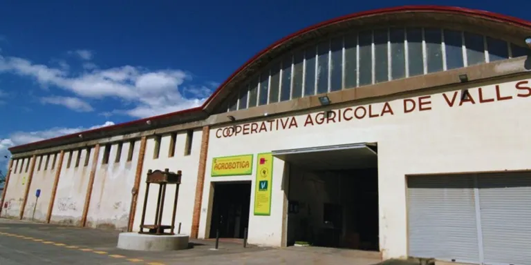 Arrenca a Valls el projecte “Terra Calçotada”