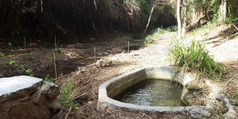 Recta final de la recuperació i neteja del Torrent del Sant Pou de Valls