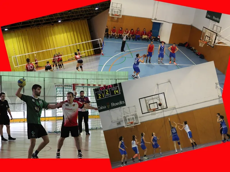 Fotomuntatge del bàsquet, vòlei i handbol de la nostra ciutat
