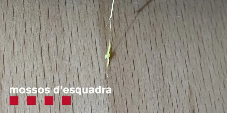 Els Mossos d'Esquadra alerten de marcadors en portes de pisos de la Seu d'Urgell per detectar habitatges buits i robar-hi