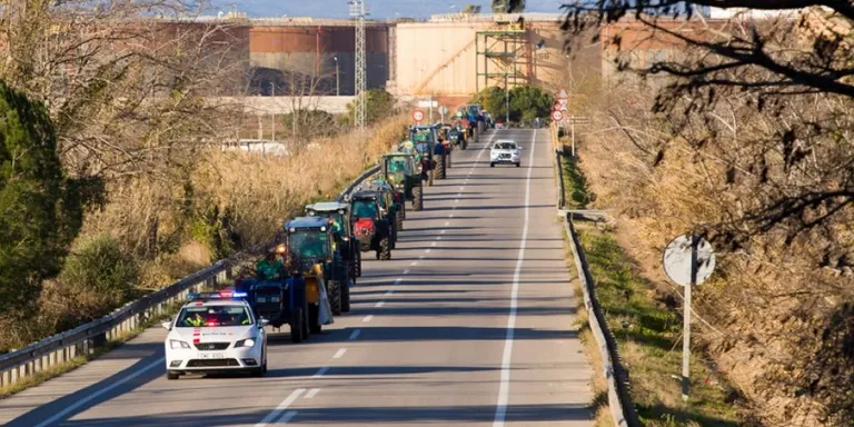 El sector de l'avellana rebrà les ajudes del 2018 el pròxim octubre