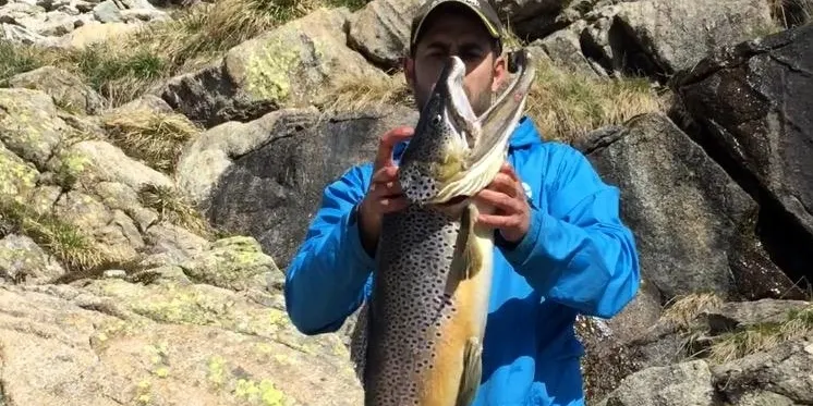 Comença la temporada de pesca de truita en aigües d'alta muntanya