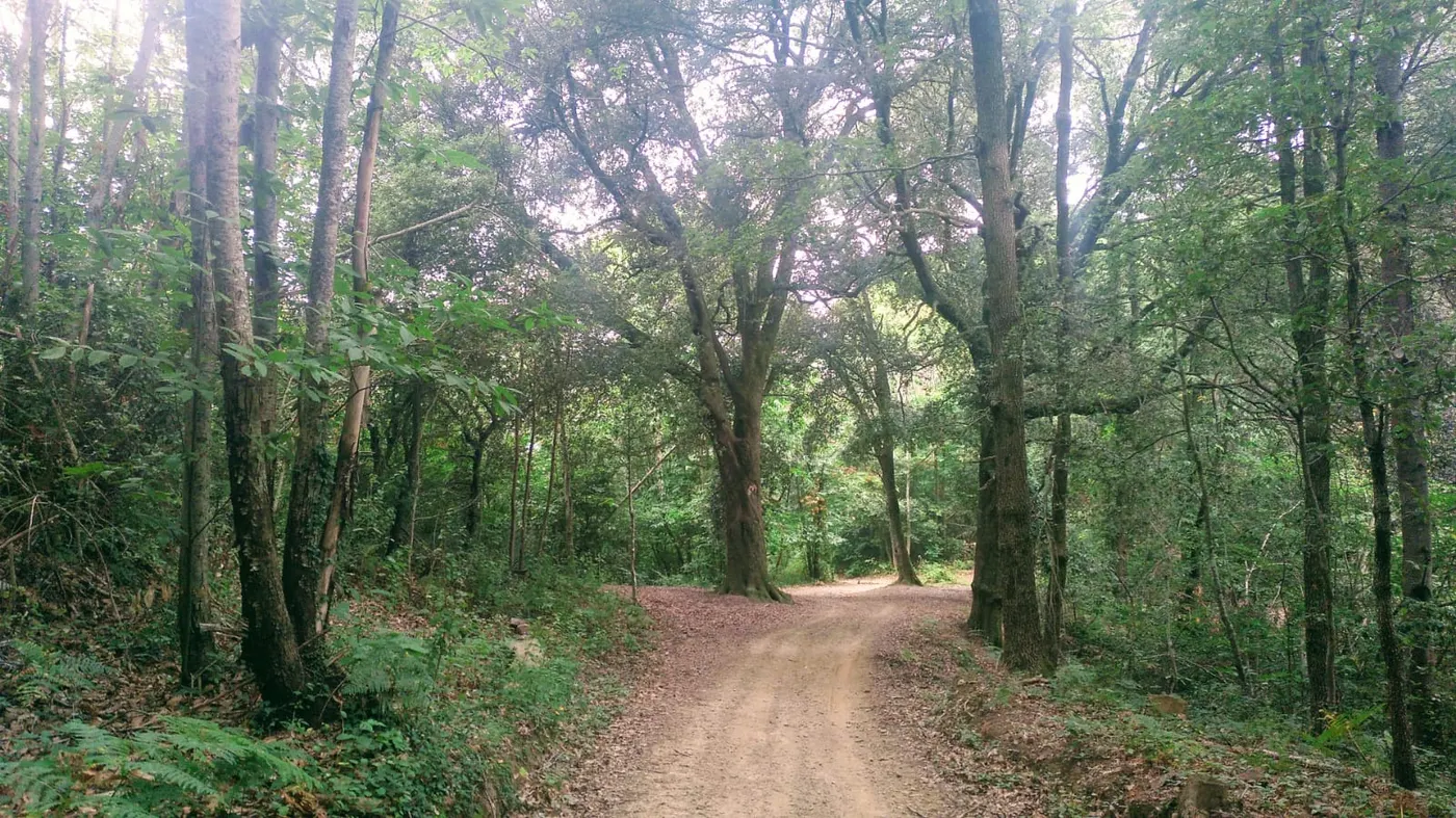 De la tardor a la primavera