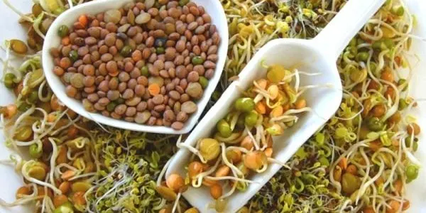 La macrobiòtica i la dietètica energètica reprenen el programa d’actes del Dia Internacional de la Dona d’Altafulla