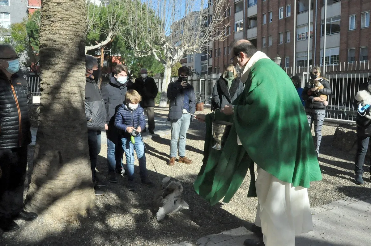 Suspesa la festivitat dels Tres Tombs per les condicions meteorològiques adverses