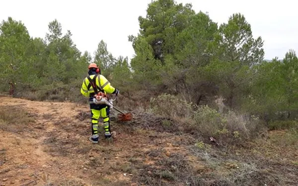 Foto: Diputació de Tarragona