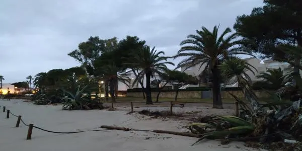 Els sectors del Fortí i el Vinyet guanyen sorra gràcies al temporal Filomena
