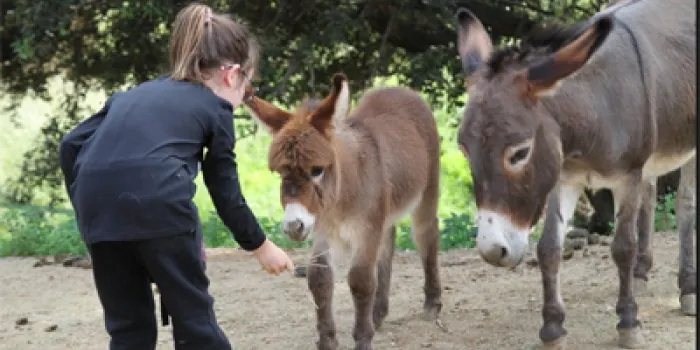 ‘Unicorn. Espai de desenvolupament, rucs i natura’ obre un ‘teaming’ per recaptar fons per causes socials
