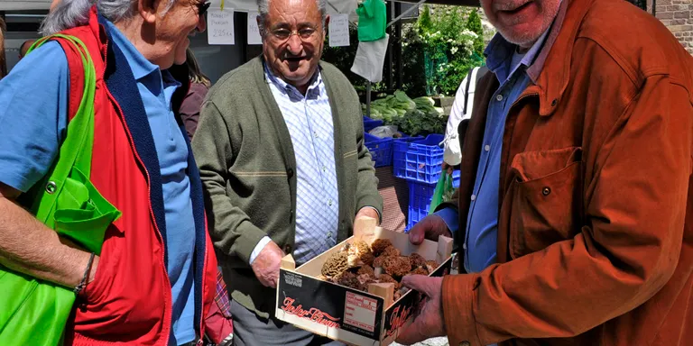 L'atur incrementa el nombre de buscadors de bolets als boscos del Pirineu