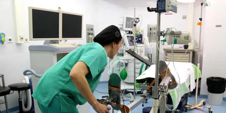 L'Hospital de Tortosa afirma que ser un centre universitari els permetrà "retenir el talent" a les Terres de l'Ebre