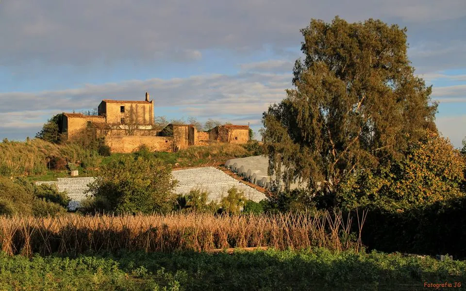 Els Fotògrafs de Pineda organitzen un curs d'edició de fotografies amb el mòbil