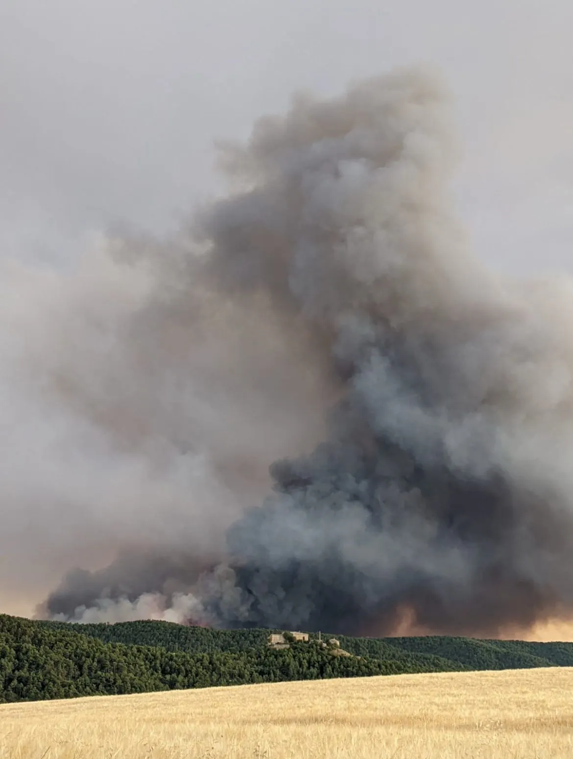 Els Bombers preveuen una campanya forestal més curta que altres anys gràcies a les pluges dels últims mesos