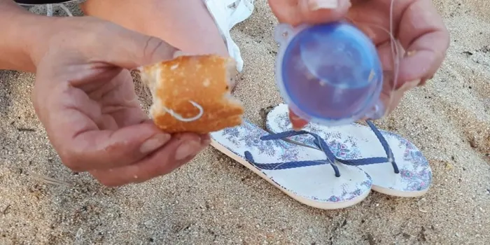 L’ADPA denuncia la presència de trossos de pa amb hams amagats a la platja de la Picòrdia