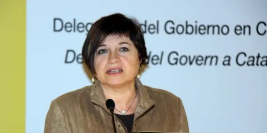 Participació del 29,87% al migdia als col.legis electorals de la Seu d'Urgell