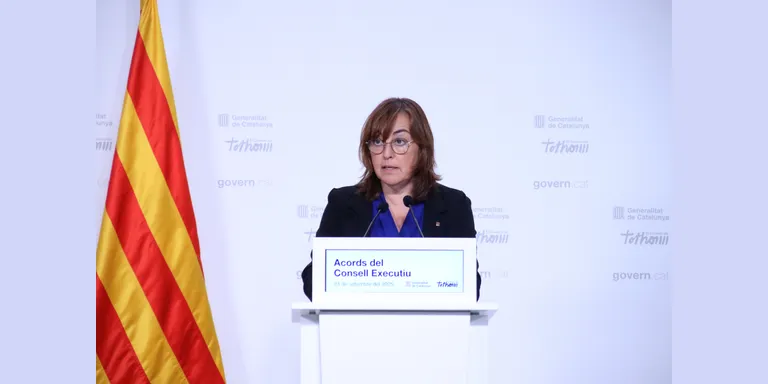 Paneque diu que a la llei de traspàs de competències en immigració no hi ha “cap element racista”
