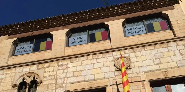 Continua la neteja dels boscos de la ciutat per prevenir incendis