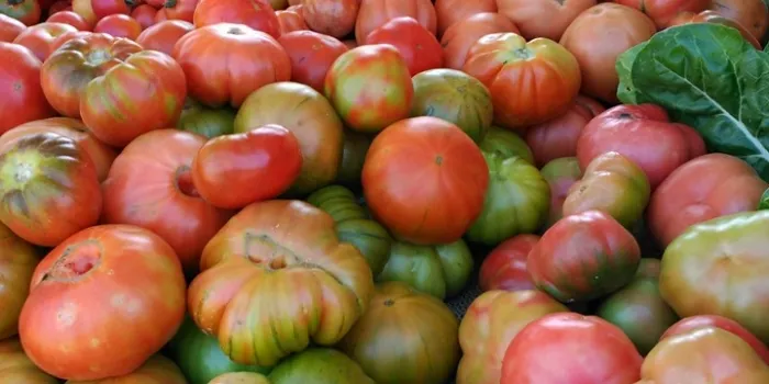 La marca Producte d’Arenys tindrà un logotip per distingir els productes de la vila