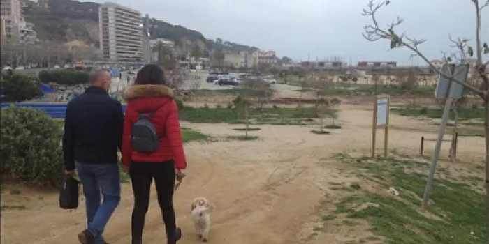 El govern municipal habilitarà una ‘zona de bany’ per a gossos a la Platja de la Picòrdia