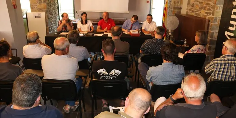 El Pallars Sobirà crearà una comissió per planificar el futur de l'ós al Pirineu