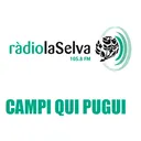 Campi qui pugui