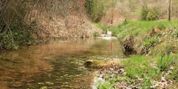 La X Marxa de les Terres del Gaià se celebrarà del 3 al 5 de maig