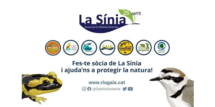 La Sínia celebra l'Assemblea anual aquest dissabte al Centre d'Entitats d'Altafulla