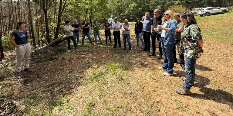 Aigües Ter-Llobregat finança un projecte forestal a la capçalera del Cardener a través de crèdits climàtics