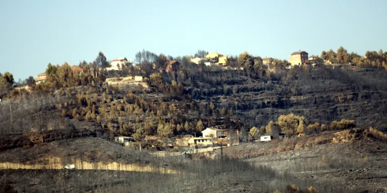 El govern espanyol aprova la declaració de zona catastròfica dels territoris afectats per grans incendis aquest estiu