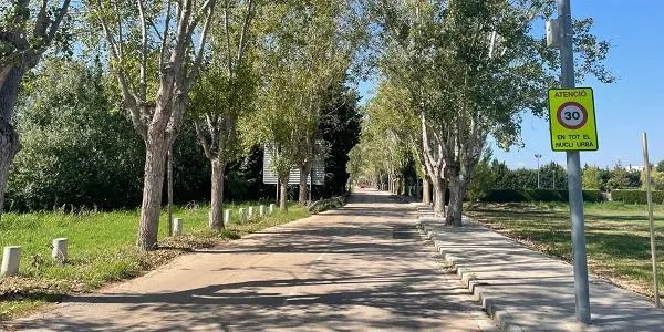 L’Ajuntament d’Altafulla enretira els arbres malmesos pels temporals a Hort del Senyor i la carretera de la platja