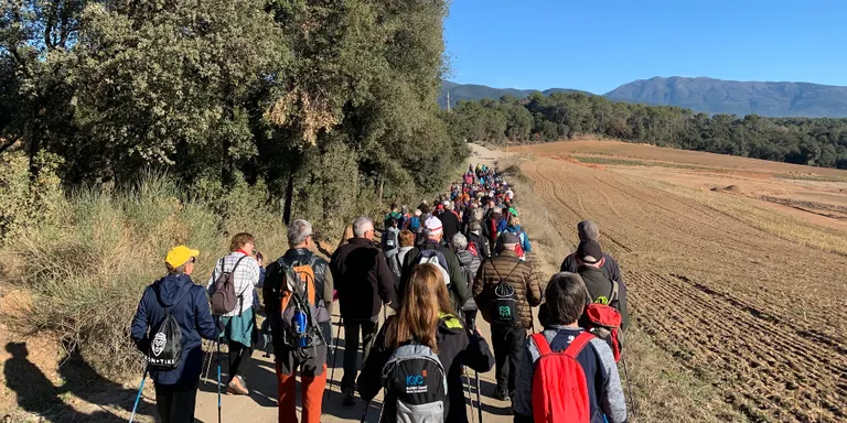 40 veïns de Pineda participen al Cicle de Passejades per a la Gent Gran de la Diputació de Barcelona