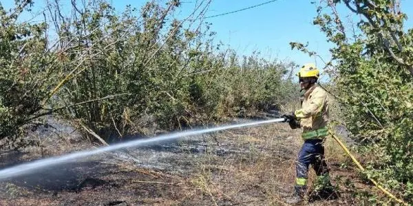 Els Bombers preveuen un estiu complicat, per les elevades temperatures i l’acumulació de vegetació