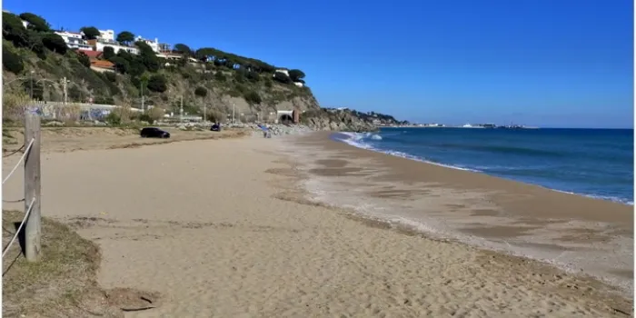 Una trentena de persones han participat en la Plantada Popular a la platja de la Musclera