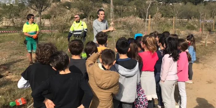 Els alumnes de tercer, quart i cinquè de l’Escola Sinera comencen la plantació d’arbres a la platja