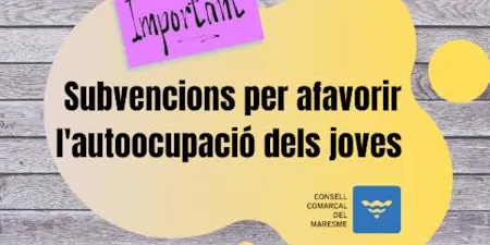 Fins a 10.000 euros de subvenció per als joves que posin en marxa un negoci