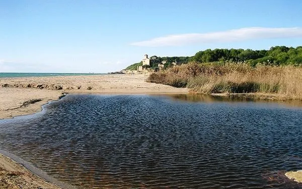 Foto: Altafulla Ràdio