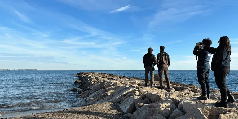 Un dofí que anava sol avara a la platja de Cambrils i un ciutadà l’ajuda a tornar al mar