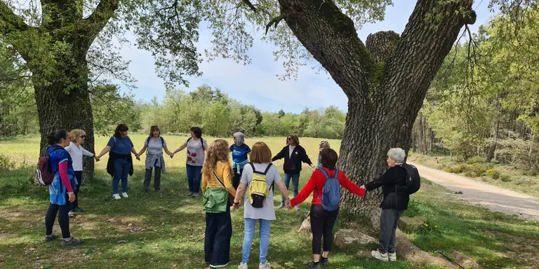 Fènix i el Centre Sanitari del Solsonès organitzen un bany de bosc