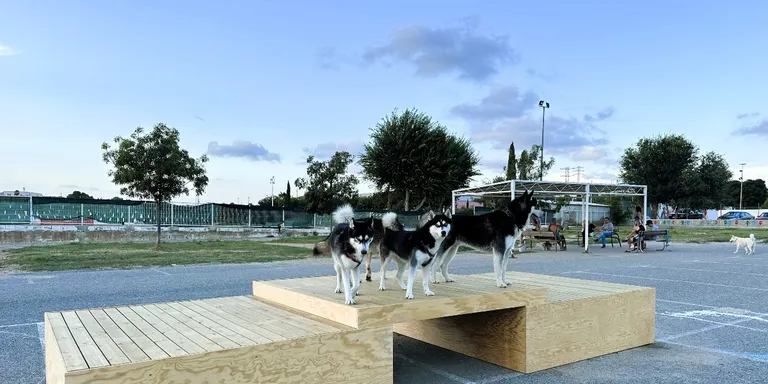 Millores en l'espai de socialització d'animals del carrer de l'Hort de l'Oca