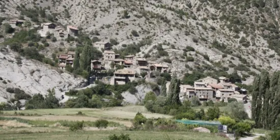 IPCENA denuncia l'obertura d'una pista forestal a Cabó