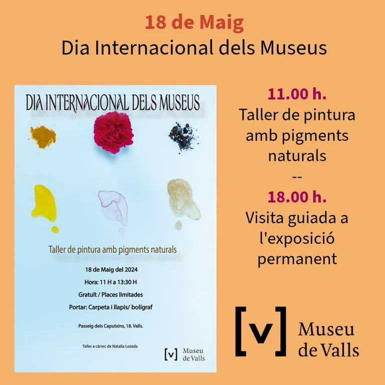 Activitats per a tots els públics al Museu de Valls per commemorar el Dia Internacional dels Museus