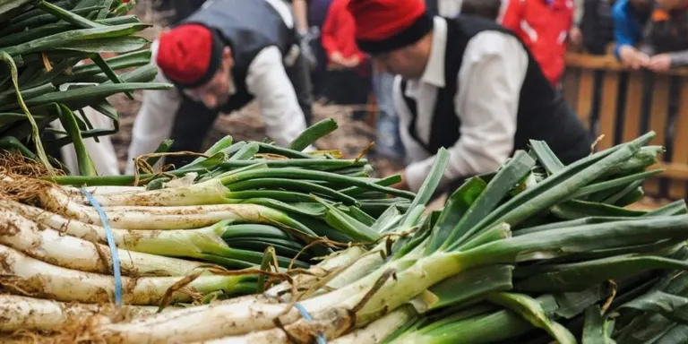 Valls, Terra de Calçot