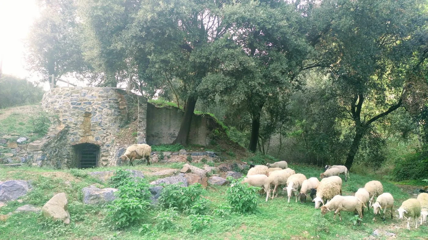 Dia esplèndid i ambient fresc