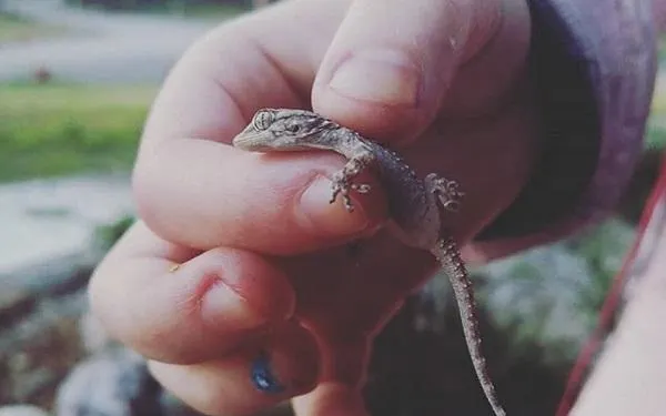 Foto: Gepec