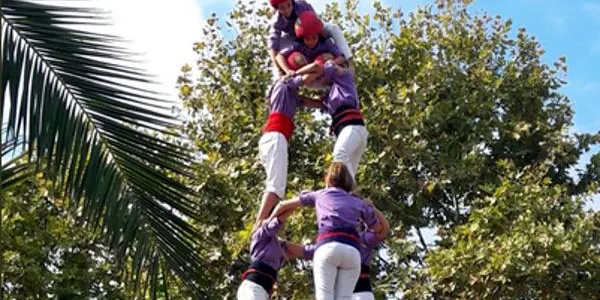 Els Castellers d’Altafulla recuperen els castells de set a la Fira del Vi de Cambrils