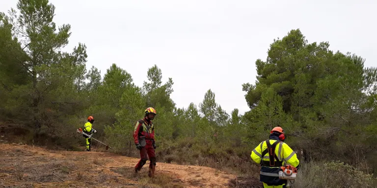 La Diputació de Tarragona impulsa nous plans d’ocupació que donaran feina a 50 persones