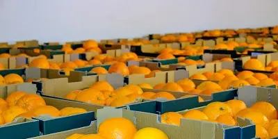 Marketplace d'iniciatives solidàries