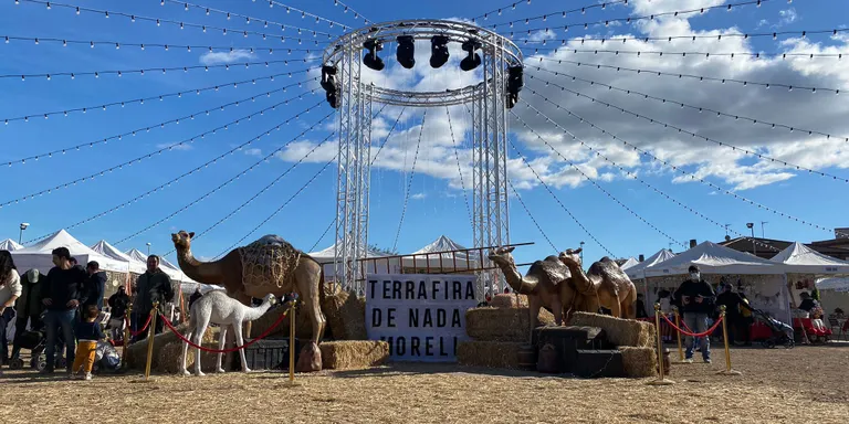 La Terrafira rep un total de 7.000 visites en un cap de setmana pletòric