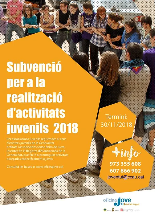 L’Oficina Jove de l’Alt Urgell concedeix una subvenció per a activitats juvenils realitzades enguany