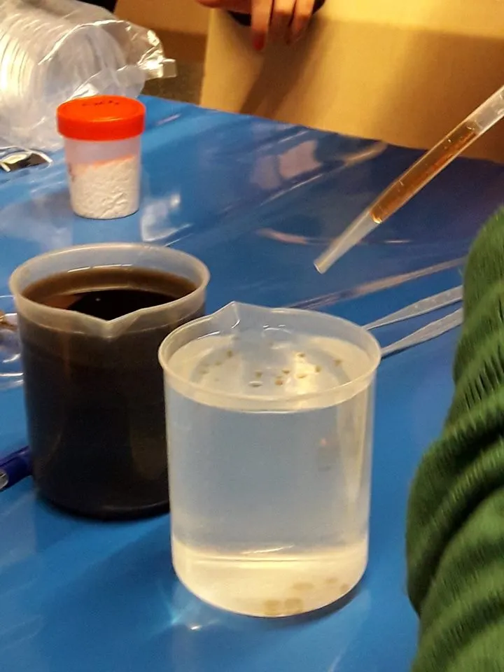 Dilluns vinent, el BiblioLab mostrarà l’impacte que tindrà en aquest segle la nanotecnologia