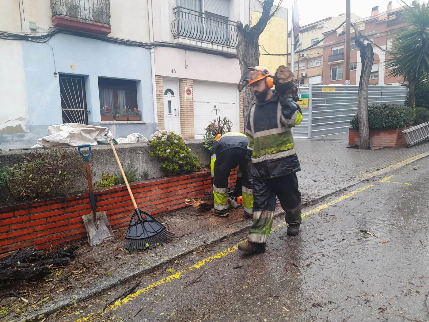 Comença la plantació d’una seixantena d’arbres en diferents carrers i places de Caldes